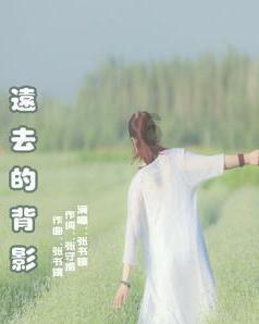 探探猫宝石岛2
